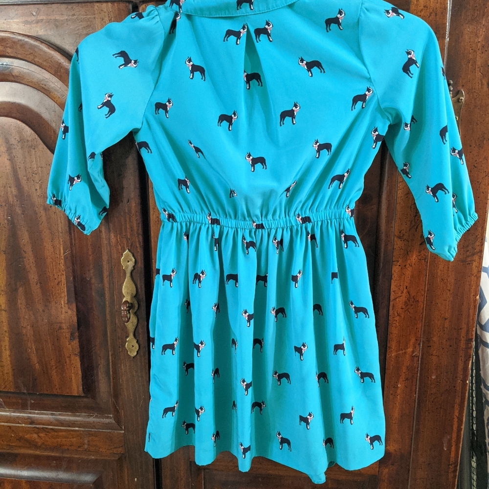 Girls teal dress with frenchies on it